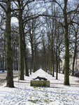 905758 Gezicht over de besneeuwde Maliebaan te Utrecht van bij de Museumlaan naar het zuidwesten. Met op de voorgrond ...